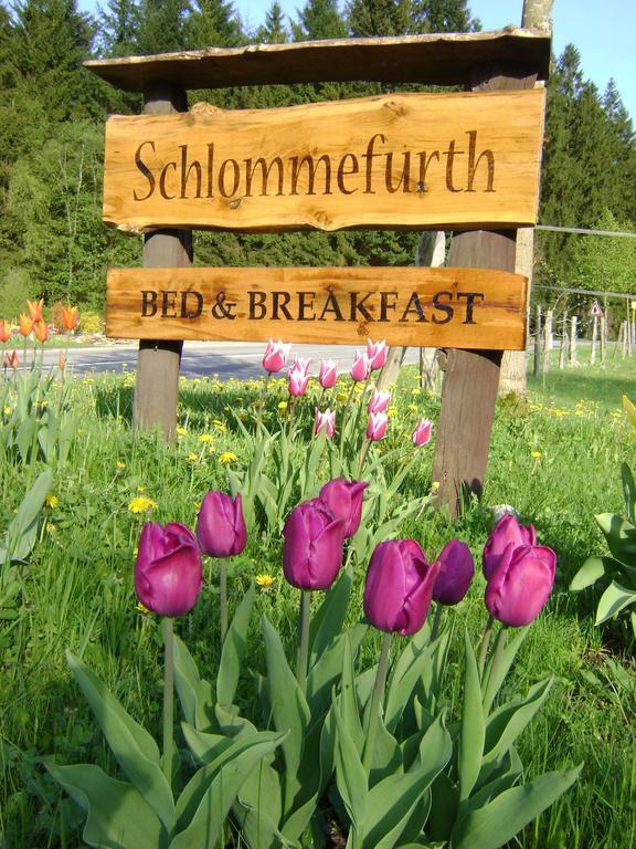 Bed & Breakfast Schlommefurth Panzió St. Vith Kültér fotó